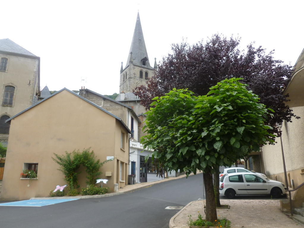 French Holiday Accommodation Bort-les-Orgues Rum bild